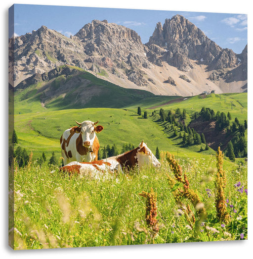 Alpenszene mit Kühen auf grüner Wiese Leinwanbild Quadratisch