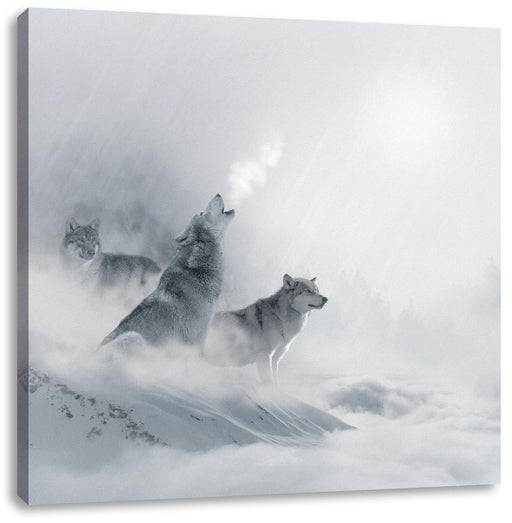 Heulende Wölfe jagen Hirsch im Nebel Leinwanbild Quadratisch