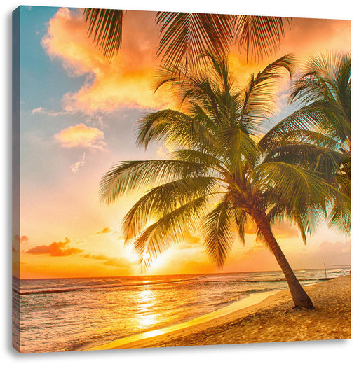 Palmen im Sonnenuntergang auf Barbados Leinwanbild Quadratisch