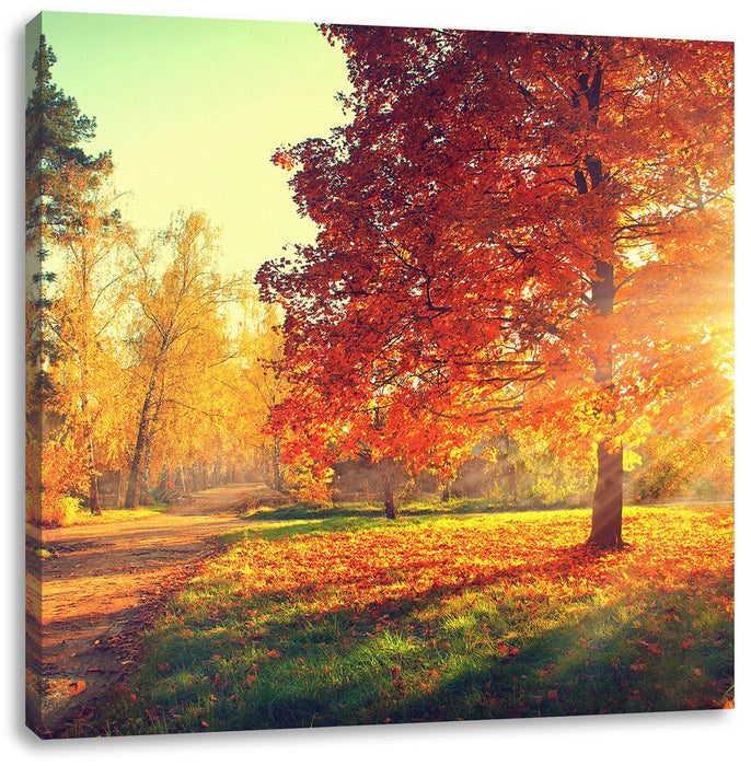 Weg durch bunten Herbstwald Leinwanbild Quadratisch