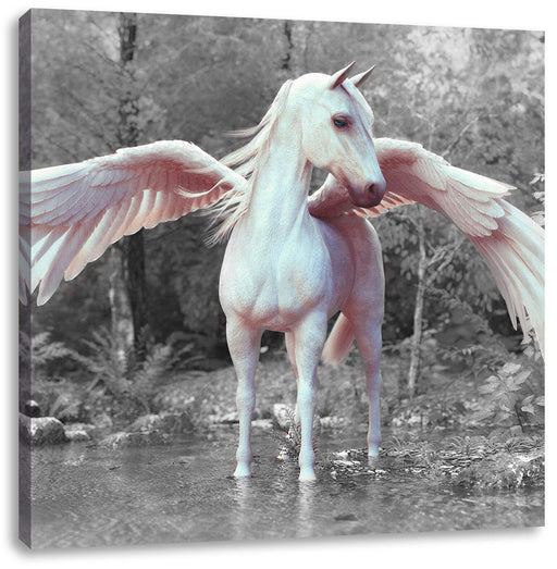 Pegasus im Fluss eines Herbstwaldes B&W Detail Leinwanbild Quadratisch