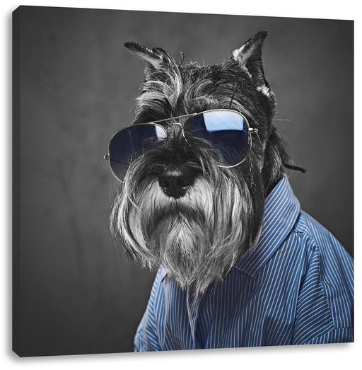 Lustiger Hund mit Hemd und Sonnenbrille B&W Detail Leinwanbild Quadratisch