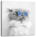 Coole Katze mit runder Sonnenbrille B&W Detail Leinwanbild Quadratisch