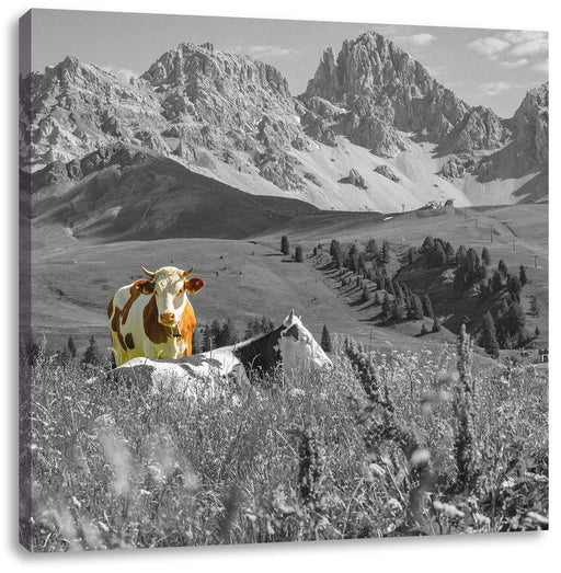 Alpenszene mit Kühen auf grüner Wiese B&W Detail Leinwanbild Quadratisch