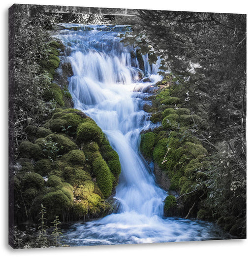 Wasserfall im grünen Wald B&W Detail Leinwanbild Quadratisch