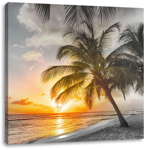 Palmen im Sonnenuntergang auf Barbados B&W Detail Leinwanbild Quadratisch