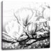 Wunderschöne Magnolien Nahaufnahme, Monochrome Leinwanbild Quadratisch