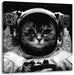 Astronautenkatze im Weltraum, Monochrome Leinwanbild Quadratisch