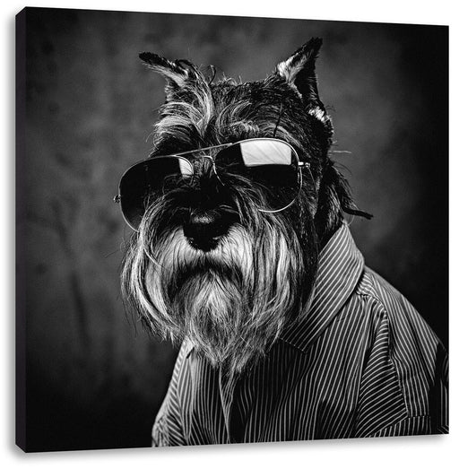 Lustiger Hund mit Hemd und Sonnenbrille, Monochrome Leinwanbild Quadratisch