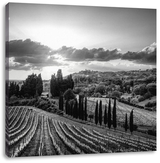 Malerische Weinberge in der Toskana, Monochrome Leinwanbild Quadratisch