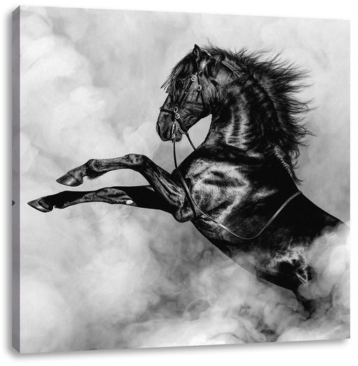 Schwarzes Pferd steigt im weißen Nebel, Monochrome Leinwanbild Quadratisch