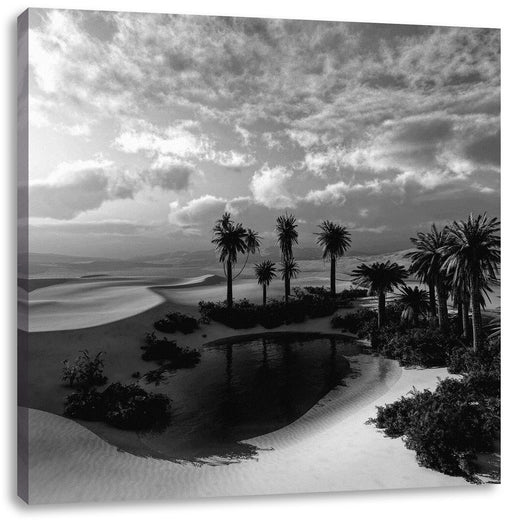 Oase in der Wüste bei Sonnenuntergang, Monochrome Leinwanbild Quadratisch