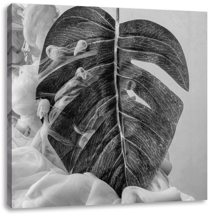 Monstera Blatt mit Pastelwolke, Monochrome Leinwanbild Quadratisch