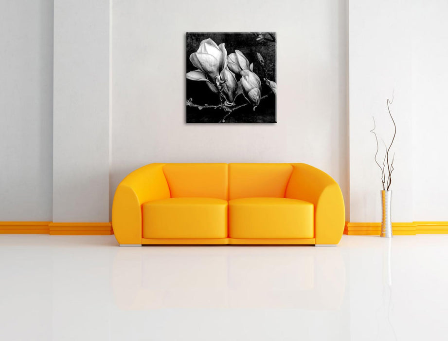 Aufblühende Magnolie isoliert, Monochrome Leinwanbild Wohnzimmer Quadratisch