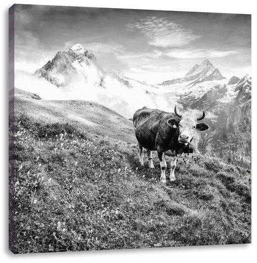 Kuh auf grüner Alm in den Bergen, Monochrome Leinwanbild Quadratisch
