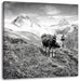 Kuh auf grüner Alm in den Bergen, Monochrome Leinwanbild Quadratisch