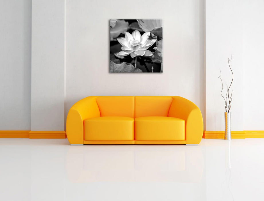 Rosa blühender Lotus Nahaufnahme, Monochrome Leinwanbild Wohnzimmer Quadratisch