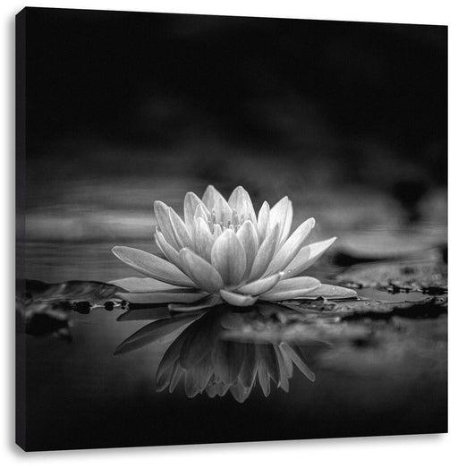 Leuchtende Lotusblüte auf grauer Pfütze, Monochrome Leinwanbild Quadratisch