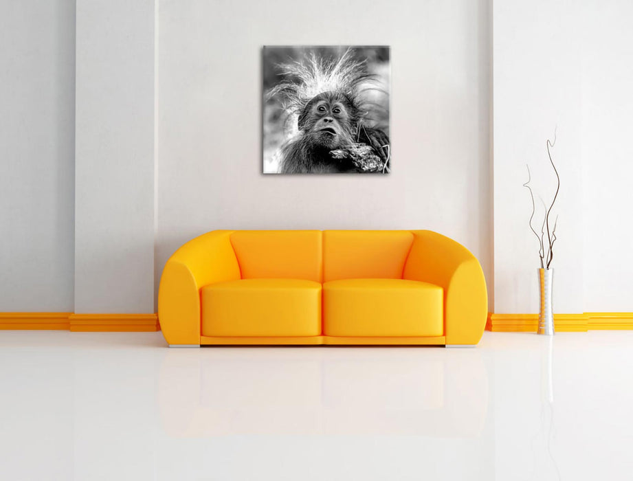 Lustiger Baby Orang-Utan mit Rinde, Monochrome Leinwanbild Wohnzimmer Quadratisch