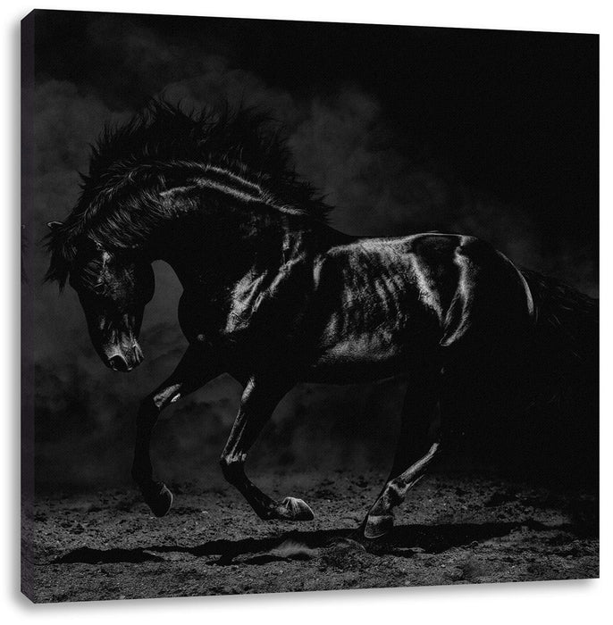 Edles galoppierendes schwarzes Pferd, Monochrome Leinwanbild Quadratisch