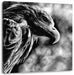 Mächtiger Adler Nahaufnahme, Monochrome Leinwanbild Quadratisch