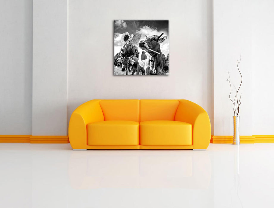 Nahaufnahme Kuh mit Sonnenblume im Maul, Monochrome Leinwanbild Wohnzimmer Quadratisch