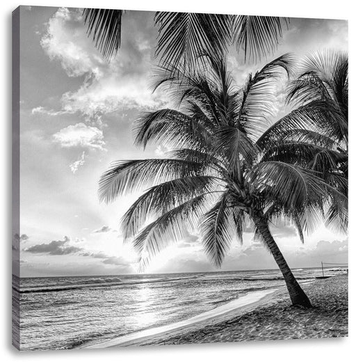 Palmen im Sonnenuntergang auf Barbados, Monochrome Leinwanbild Quadratisch
