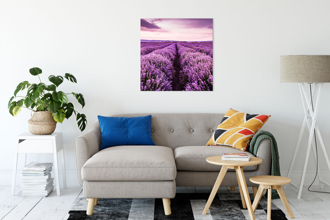 blühendes Lavendelfeld Leinwandbild Wohnzimmer Quadratisch
