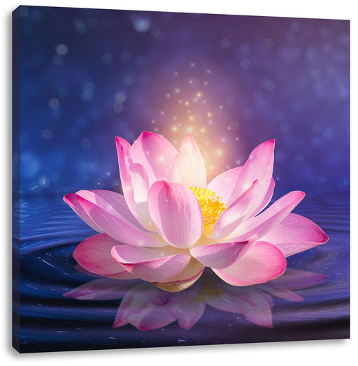 pinker Lotus im Wasser Leinwandbild Quadratisch