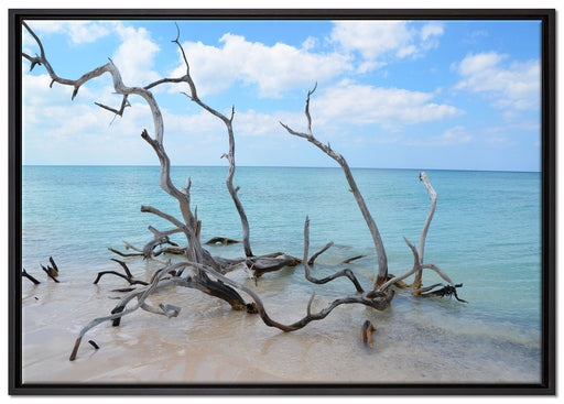 Strand mit Treibholz in Kuba auf Leinwandbild gerahmt Größe 100x70