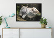 Stolzer weisser Tiger auf Leinwandbild gerahmt verschiedene Größen im Wohnzimmer