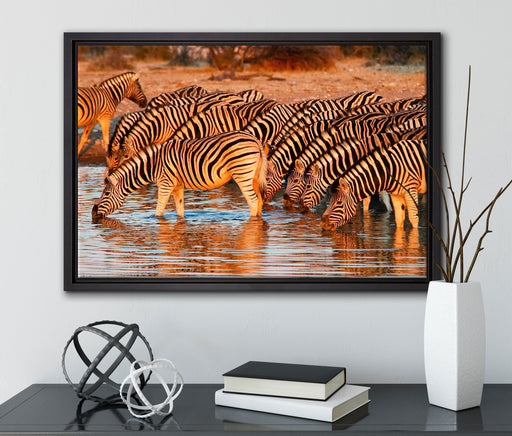 Zebraherde an Wasserloch auf Leinwandbild gerahmt mit Kirschblüten