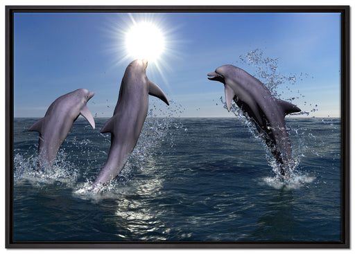 springende Delphine auf Leinwandbild gerahmt Größe 100x70