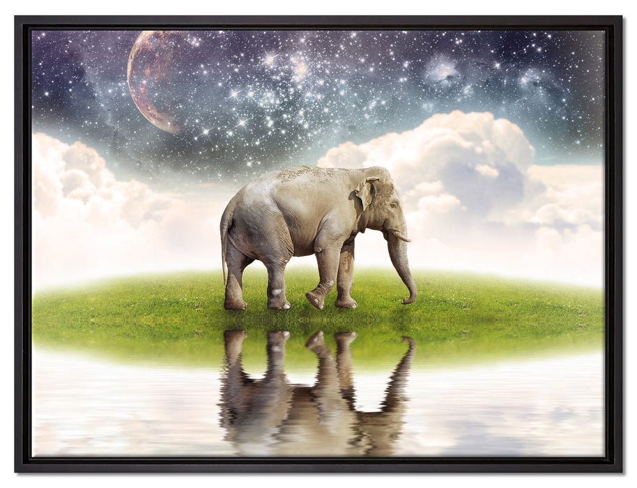 Einsamer Elefant Sternenhimmel auf Leinwandbild gerahmt Größe 80x60
