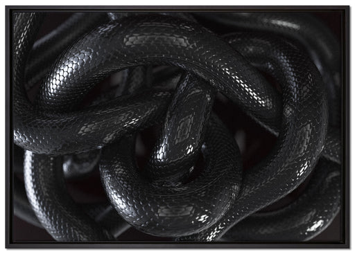 Schwarze elegante Schlange auf Leinwandbild gerahmt Größe 100x70