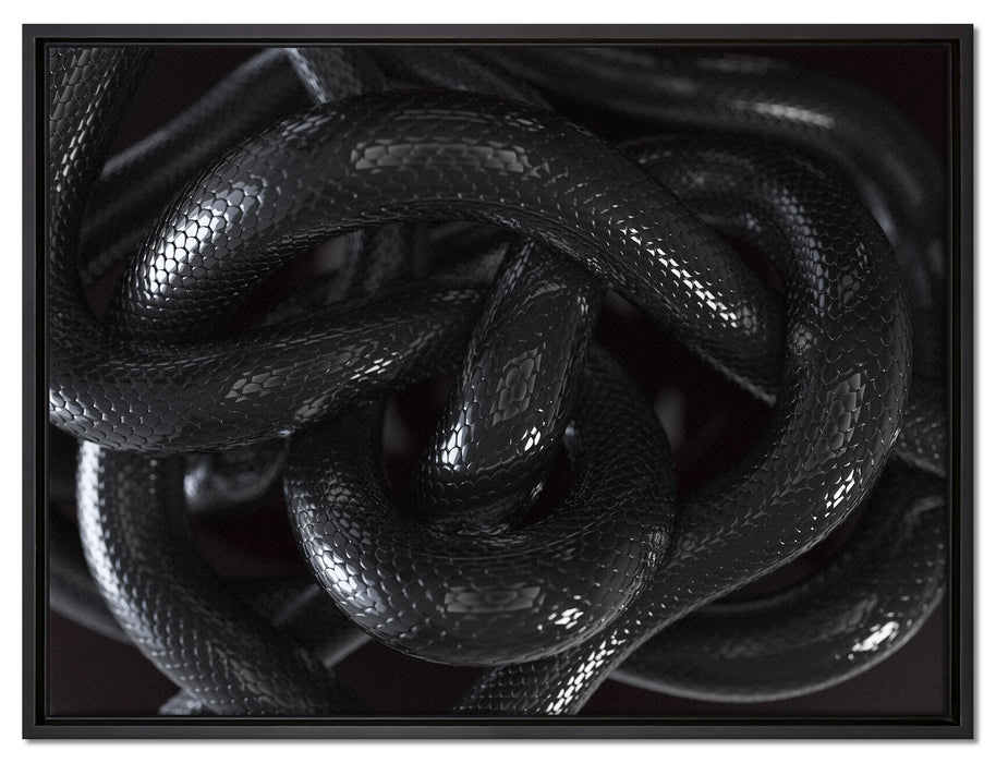 Schwarze elegante Schlange auf Leinwandbild gerahmt Größe 80x60