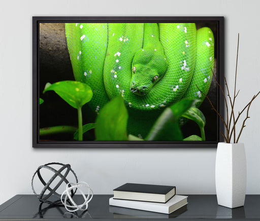 Grüne elegante Schlange auf Leinwandbild gerahmt mit Kirschblüten