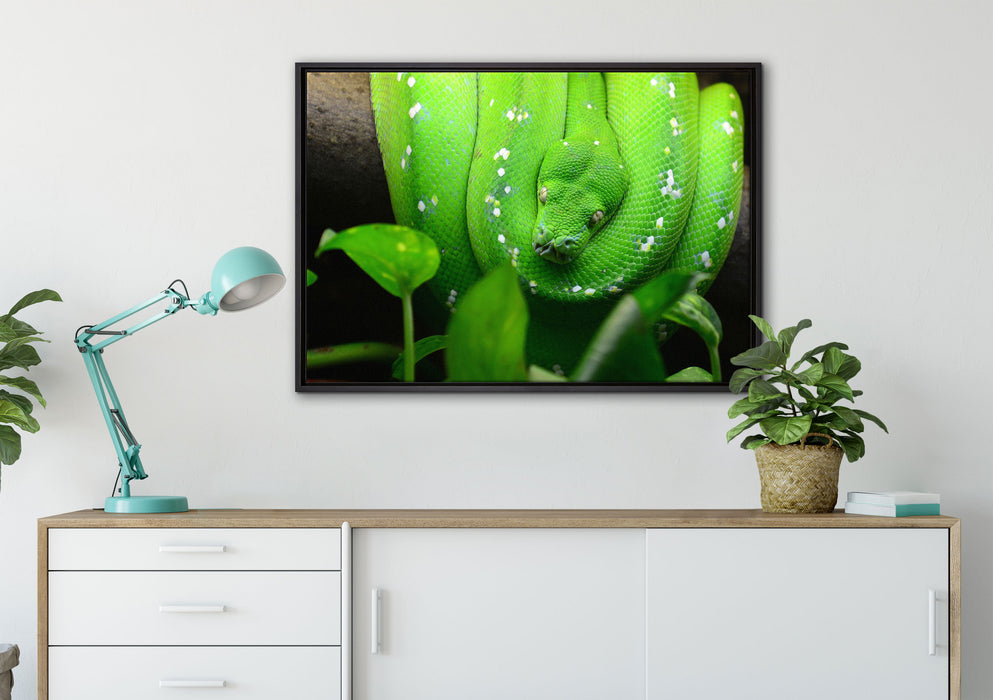Grüne elegante Schlange auf Leinwandbild gerahmt verschiedene Größen im Wohnzimmer