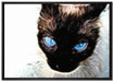 Schwarze elegante Katze auf Leinwandbild gerahmt Größe 100x70