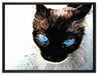 Schwarze elegante Katze auf Leinwandbild gerahmt Größe 80x60