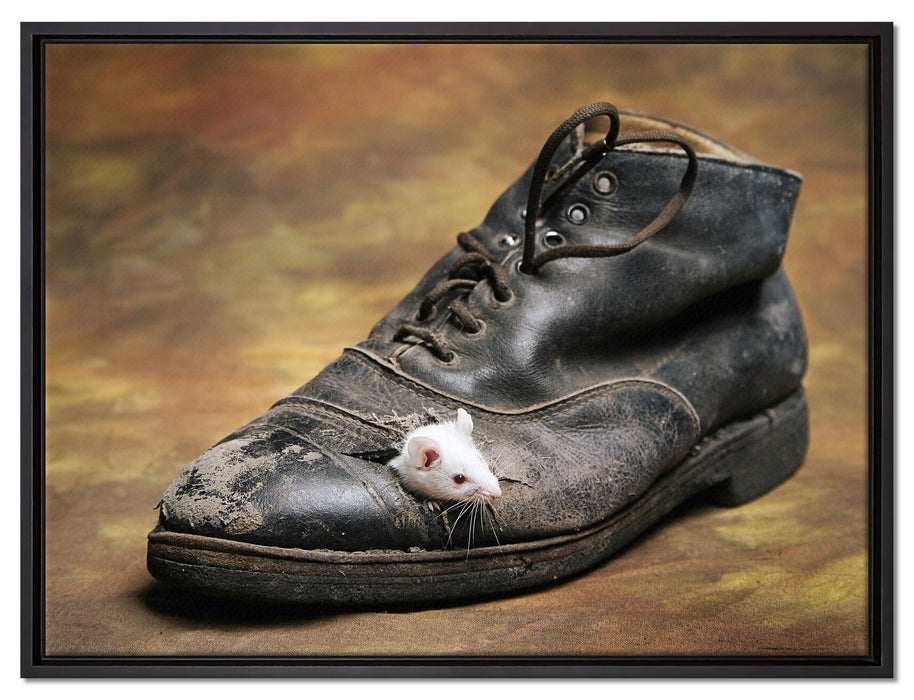 Maus in schwarzem Schuh auf Leinwandbild gerahmt Größe 80x60