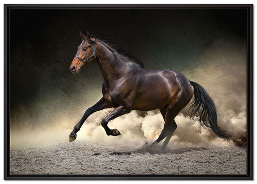 Anmutiges dunkles Pferd auf Leinwandbild gerahmt Größe 100x70