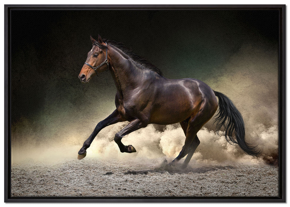 Anmutiges dunkles Pferd auf Leinwandbild gerahmt Größe 100x70