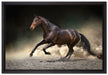 Anmutiges dunkles Pferd auf Leinwandbild gerahmt Größe 60x40