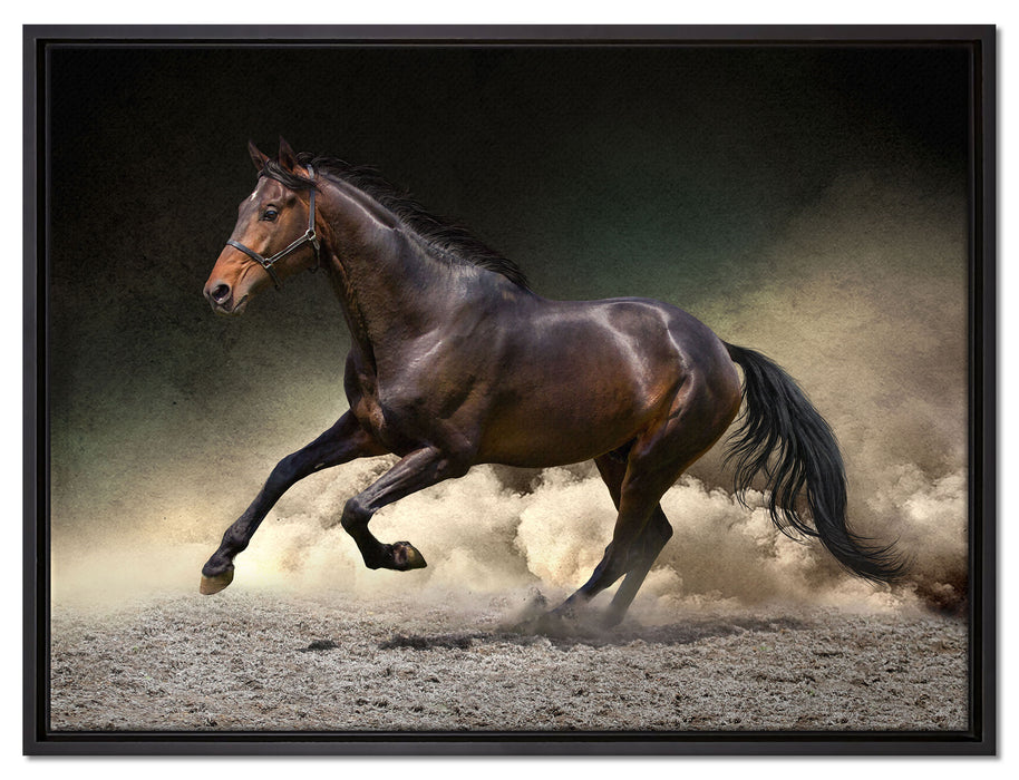 Anmutiges dunkles Pferd auf Leinwandbild gerahmt Größe 80x60