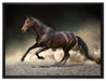 Anmutiges dunkles Pferd auf Leinwandbild gerahmt Größe 80x60