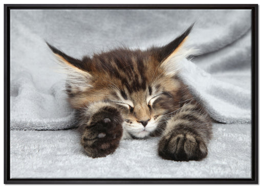 Kleines süßes Kätzchen auf Leinwandbild gerahmt Größe 100x70