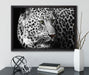 Stolzer Leopard auf Leinwandbild gerahmt mit Kirschblüten