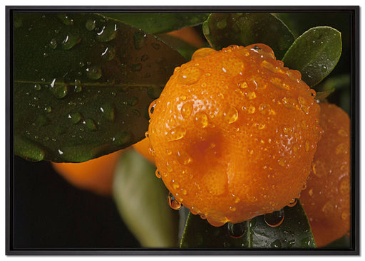 Saftige frische Orange auf Leinwandbild gerahmt Größe 100x70