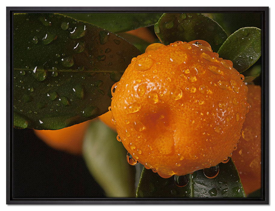 Saftige frische Orange auf Leinwandbild gerahmt Größe 80x60